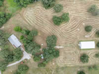 1002 Royal Oaks #1, Yorktown, TX 78164