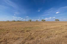 2126 Simecek Rd, Yorktown, TX 78164