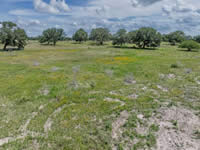 2390 Seiler Rd. Yorktown TX 78164