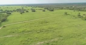 10480 FM 237, Yorktown, TX 78164