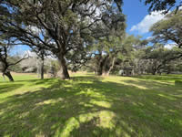 184 Royal Oaks #2, Yorktown, TX 78164