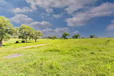 000 TBD Hohn Rd, Nordheim, TX 78141