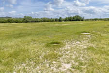 000 TBD Hohn Rd, Nordheim, TX 78141