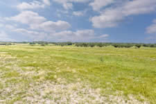 000 TBD Hohn Rd, Nordheim, TX 78141