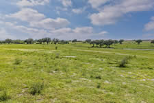 000 TBD Hohn Rd, Nordheim, TX 78141