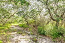 TBD Talk Ranch Rd.- Nordheim, TX 78141