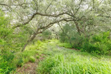 TBD Talk Ranch Rd.- Nordheim, TX 78141