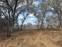 TBD Talk Ranch Rd.- Nordheim, TX 78141