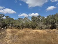 TBD Talk Ranch Rd.- Nordheim, TX 78141