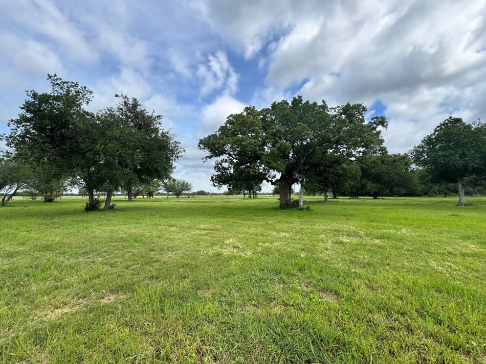 TBD FM 884 / Shelby Lane, Yorktown, TX 78164