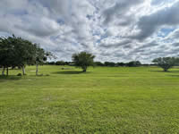 TBD FM 884 / Shelby Lane, Yorktown, TX 78164