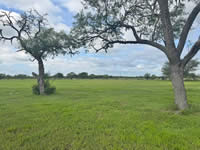 TBD FM 884 / Shelby Lane, Yorktown, TX 78164