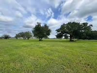 TBD FM 884 / Shelby Lane, Yorktown, TX 78164