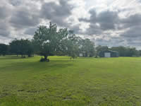 TBD FM 884 / Shelby Lane, Yorktown, TX 78164