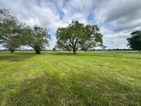 TBD FM 884 / Shelby Lane, Yorktown, TX 78164