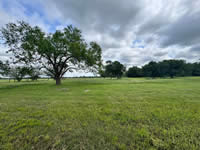 TBD FM 884 / Shelby Lane, Yorktown, TX 78164
