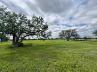 TBD FM 884 / Shelby Lane, Yorktown, TX 78164