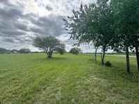 TBD FM 884 / Shelby Lane, Yorktown, TX 78164