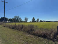 TBD W. 6th Ave. & HWY 72, Nordheim, TX 78141